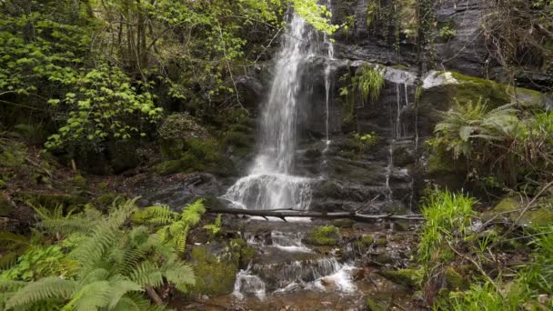 Cascata Nel Villaggio Scisto Gondramaz Portogallo — Video Stock