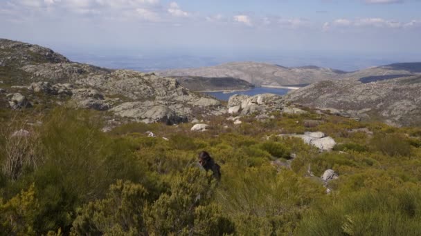 Itinerario Delle Lagune Paesaggistiche Serra Estrela Portogallo — Video Stock