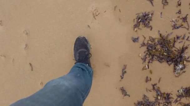 Footsteps Beach Phillip Island — стокове відео