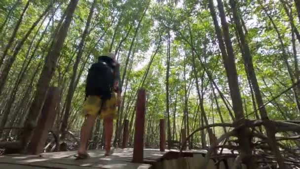 Low Angle View Woman Taking Walk Mangrove Forest Follow Cam — Stok video