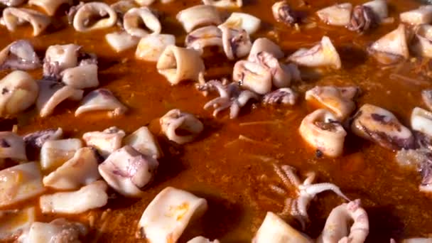 Calamar Cocido Salsa Para Preparar Paella — Vídeos de Stock