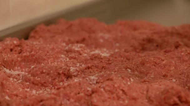 Salt Falling Raw Beef Mince Preparation Handmade Burger Production Close — Vídeos de Stock