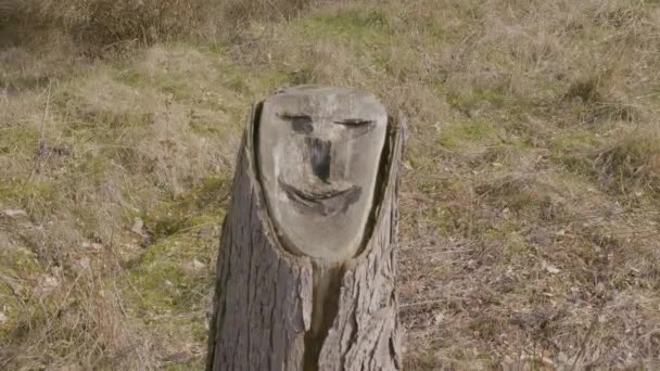 Happy Face Carved Wood — Vídeo de stock