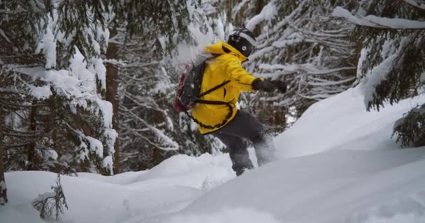 Close Steady Shot Snowboarder Finds His Way Trees Slowmotion Carve — Stockvideo
