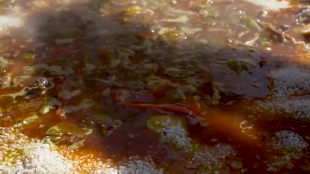 Steamy Spanish Paella Dish Being Garnished Rice Pouch Boils Bright — Vídeo de stock