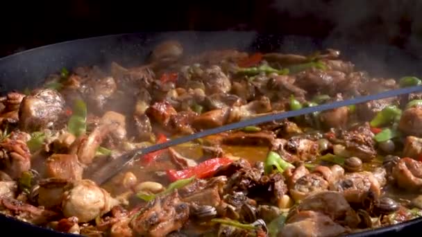 Close Shot Ladle Spoon Mixing Meaty Dish Large Saucer Pan — ストック動画