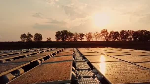 Plovoucí Solární Farmářský Projekt Asijském Jezeře Odraz Slunce Při Západu — Stock video