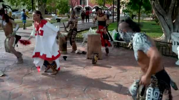 Танцоры Майя Выступают Живых Барабанах Парке Вальядолиде Мексика — стоковое видео