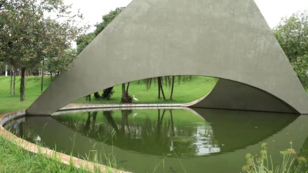 Long Shot Egret Walking Grass Lake Urban Area Beautiful Monument — Video