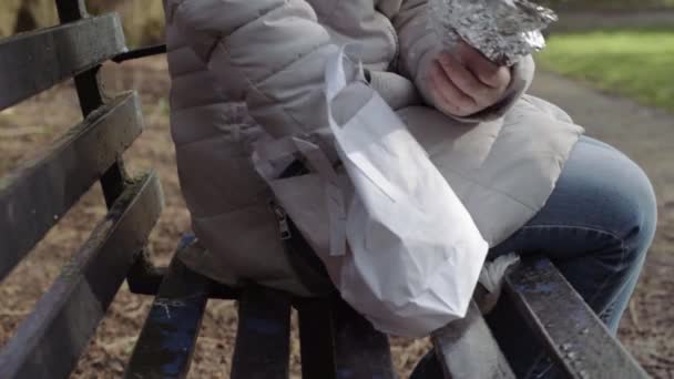 Eating Healthy Packed Lunch Sandwich Apple Park Bench — Stock video