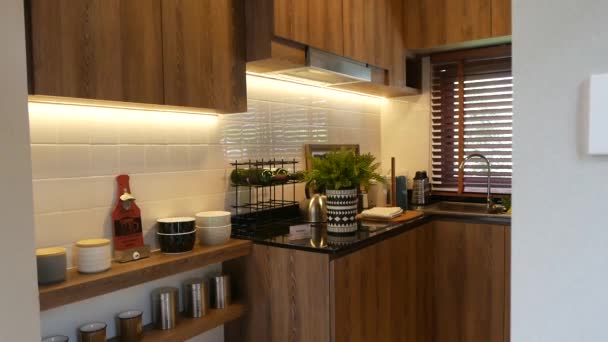 Compact Modern Kitchen Pantry Area Decoration Idea — Stok video
