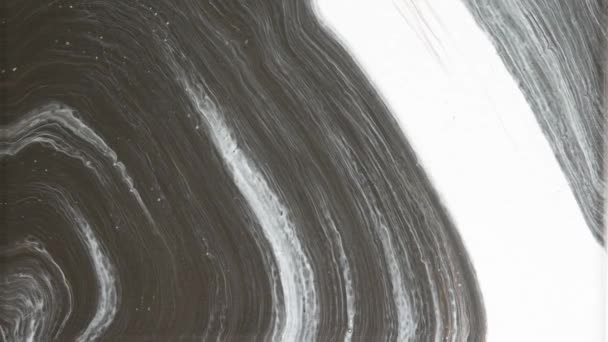 Acrylic Pouring Artwork Which Animated Flow — Stockvideo