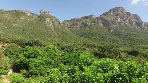 Pohled Botanické Zahrady Kirstenbosch Pozadí Stolové Hory Kapské Město Jihoafrická — Stock video