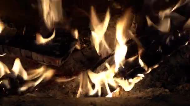 Closeup Logs Wood Burning Stove — Wideo stockowe