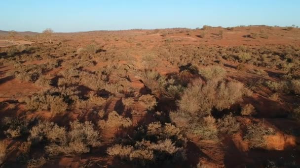 Flying Bush Surrounding Broken Hill — Wideo stockowe
