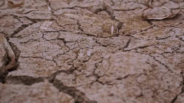 Scheuren Droge Rivierbedding Modder Droogte Getroffen Siem Reap Cambodja — Stockvideo