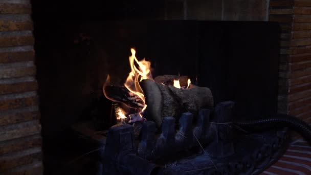 Αργή Κίνηση Πυρκαγιά Καύση Στο Τζάκι — Αρχείο Βίντεο