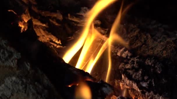 暖炉での静的スローモーション火災燃焼 — ストック動画