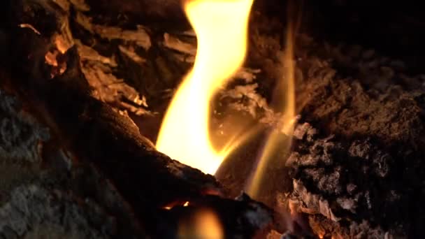 Στατική Αργή Κίνηση Φωτιά Καύση Αντιστραφεί — Αρχείο Βίντεο