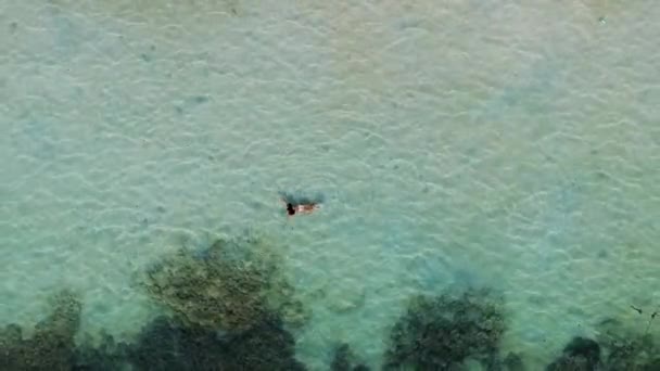 Aerial Shot Girl Swimming Sairee Beach Koh Tao Thailand — kuvapankkivideo