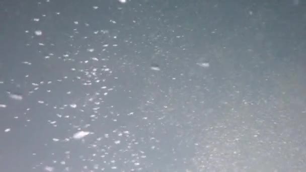Stunning Air Bubbles Rushing Clear River — Stock video