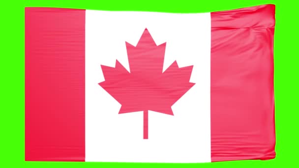Canada Flag Waving Green Screen — Vídeos de Stock