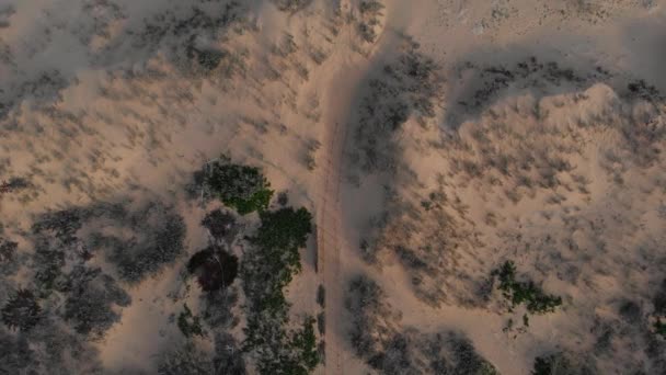 Beautiful Cinematic Top Drone Aerial Matadouro Beach Porto Santo — Video Stock