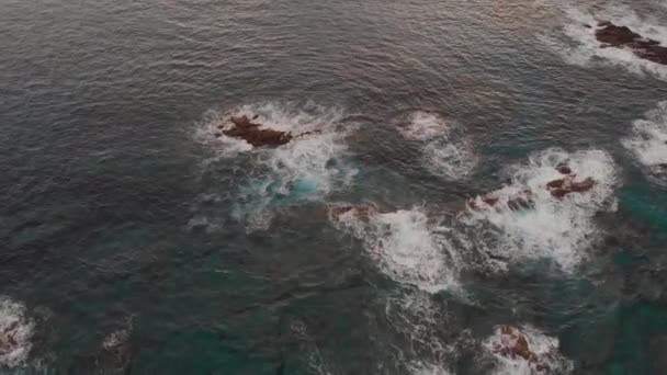 Drone Transcends Reveals Beautiful Seascape Porto Santo Portugal — ストック動画