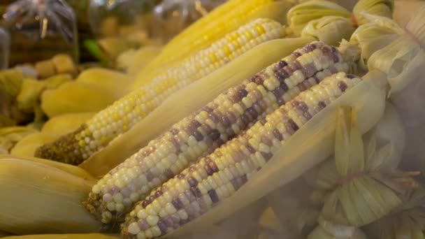 Close Footage Steamed Corn Displaying Street Food Market — 图库视频影像