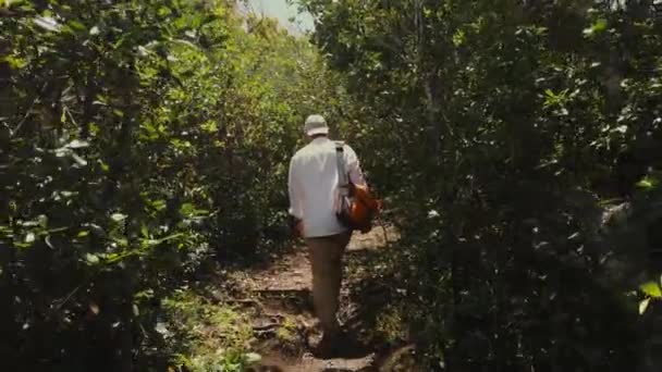 Man Cap White Shirt Satchel Walks Mauritian Jungle — Stock video