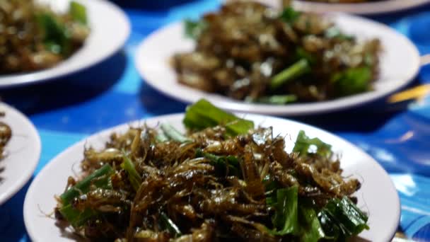 Close Footage Deep Fried Insect Displaying Street Food Market — Video