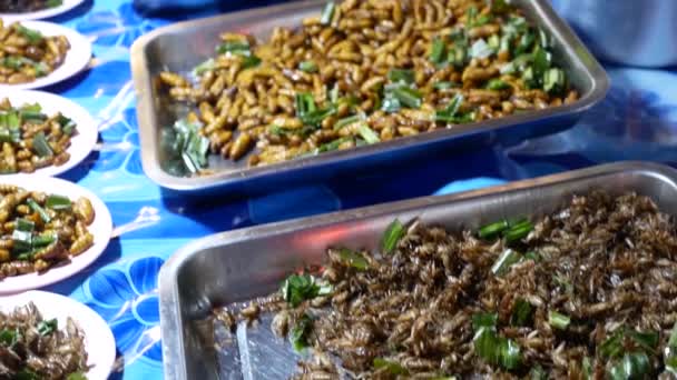 Close Footage Deep Fried Insect Displaying Street Food Market — ストック動画