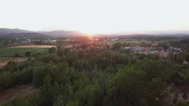 Aerial Drone Shot Flying Forest Fields Left Town Right Magnificent — Stok video