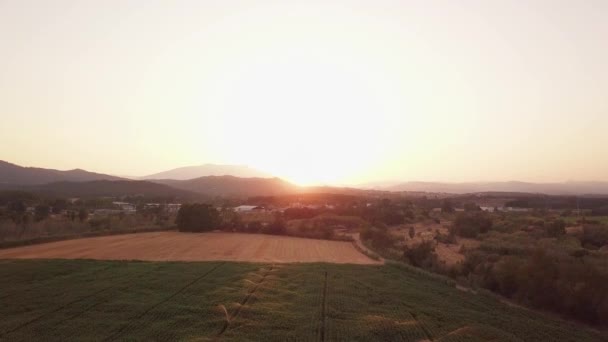 Aerial Drone Shot Flying Showing Magnificent Sunset Fields Being Watered — Vídeo de Stock