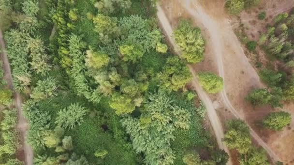 Aerial Top Shot Forest Lots Green Trees Vegetation Tordera Spain — Video Stock