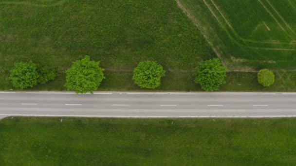 Top View Street Spring Green Trees Fast Green Car Driving — Vídeo de Stock