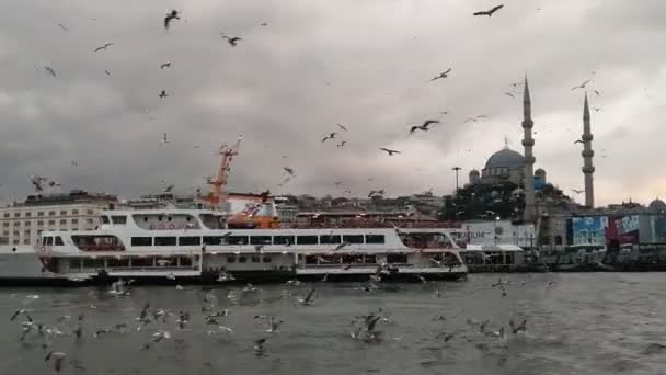 伊斯坦布尔 Golde Horn Eminonu码头和中心清真寺 蒸汽船接近码头了 1920X1080 — 图库视频影像