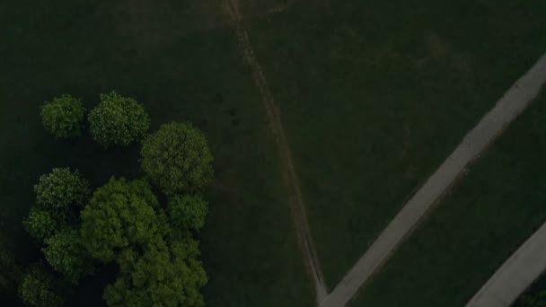 Swing Camera Shot Munich Drone Swing Green Park Englischer Garten — Stockvideo