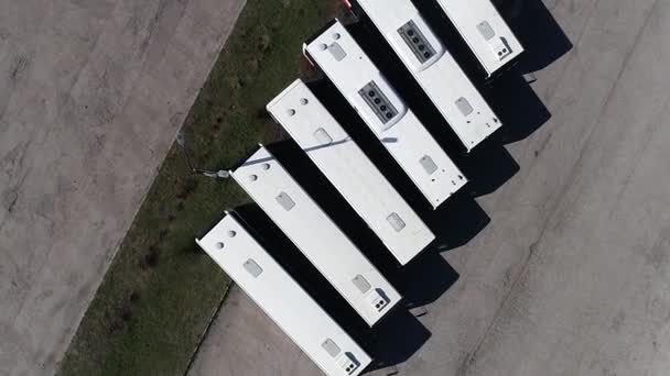 Drone Eye Bird Top View Line Public White Bus Parking — Stok video