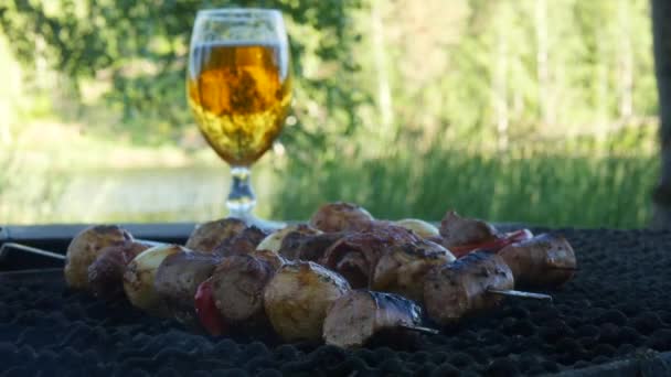 Carne Verduras Mezcladas Poner Palo Metal Están Asando Parrilla Sobre — Vídeos de Stock