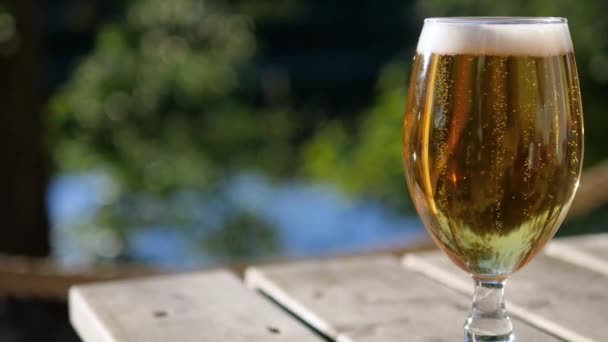 Close Tiny Bubbles Newly Poured Lager Beer Moving Rapidly Glass — 图库视频影像