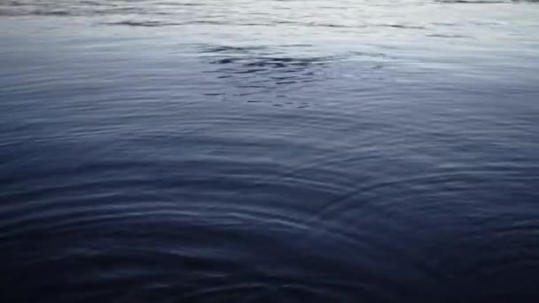 Natural Fresh Dark Water Shines Reflects Ripples Surface Lake Static — Vídeo de stock