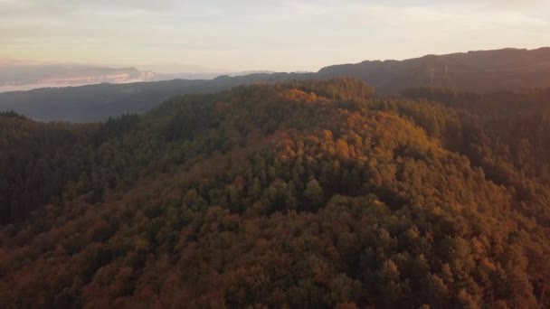 Aerial View Gentle Mountain Peaks Slopes Covered Abundant Trees — Stock video
