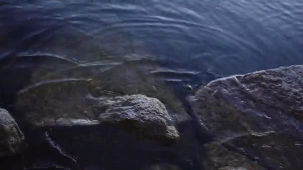 Natural Crystal Clear Fresh Shallow Water Shines Flows Pretty Stone — Vídeo de Stock