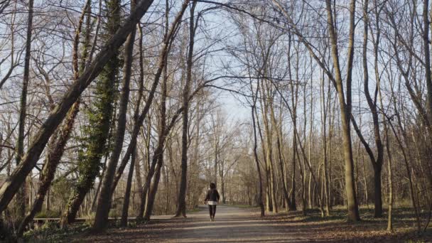 Woman Walking Dirt Wide Hiking Path Dormant Brown Forest Sunny — Stockvideo