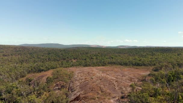 Aerial Drone Shot Hikers Clearing Surrounded Green Bushland — Stok video