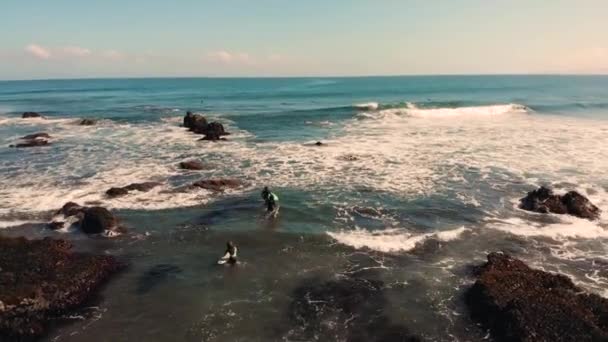 Three Surfers Entering Sea Beach Focusing Surfer Girl Punta Lobos — 비디오
