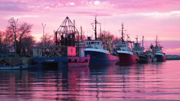 Cargo Ships Moored Port Beautiful Pink Sunset Calm Sea Bulgaria — Wideo stockowe