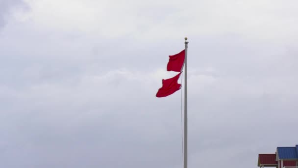 Double Red Flags Indicating Dangerous Ocean Surf Swimming Banned — Vídeo de stock