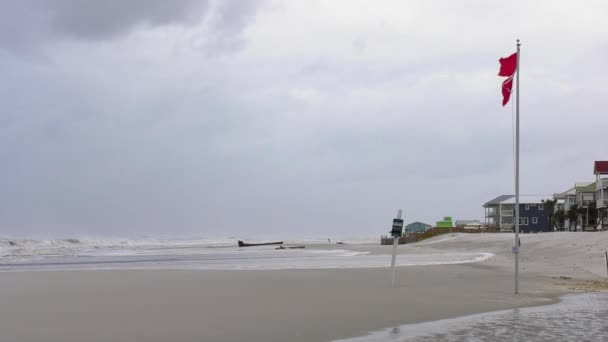 Double Red Flags Blowing Strong Wind Large Waves Beach — Video Stock